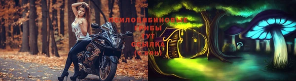 сатива Белокуриха