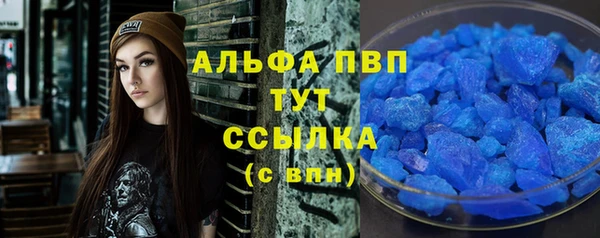 сатива Белокуриха