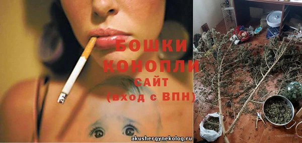 дживик Беломорск