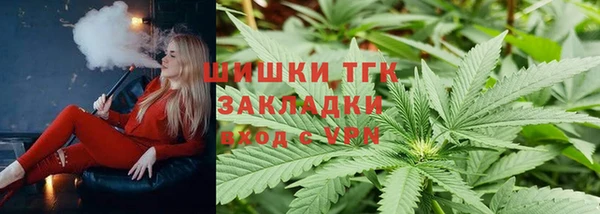 сатива Белокуриха