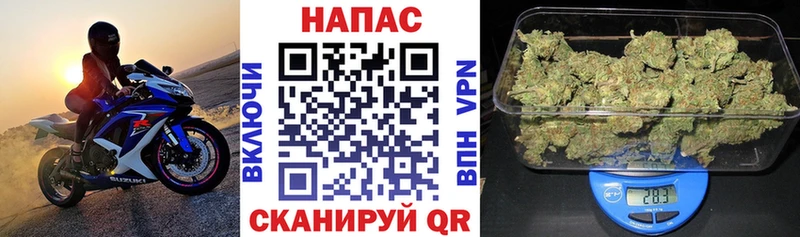 купить наркоту  Надым  Марихуана ГИДРОПОН 